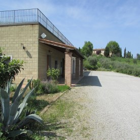 Blick vom Weinkeller zum Haus